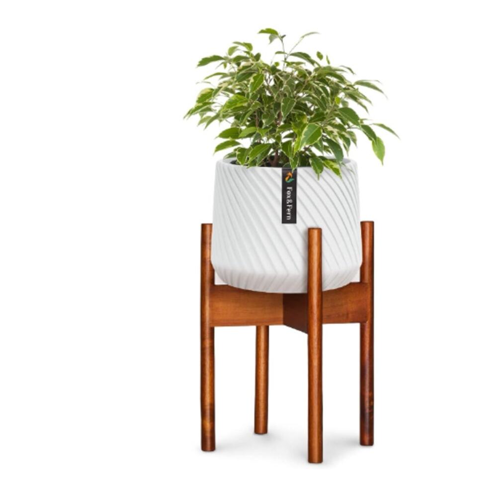 Fox & Fern 8" Mid-Century Plant Stand – Acacia Wood, Indoor Holder - Picture 3 of 5